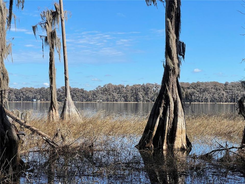 For Sale: $1,500,000 (28.49 acres)