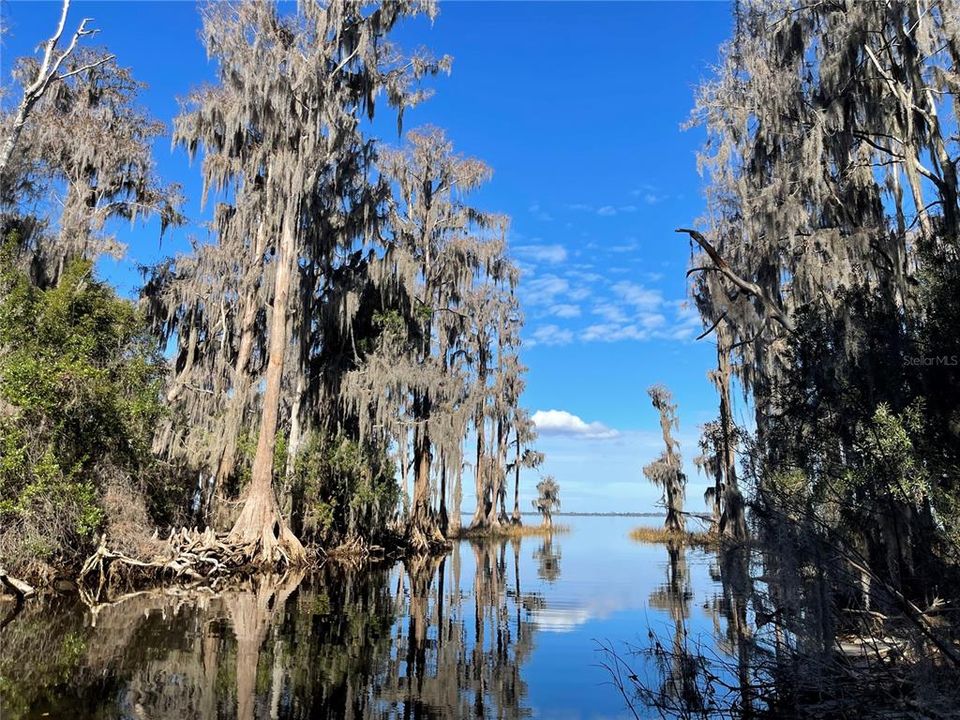 For Sale: $1,500,000 (28.49 acres)