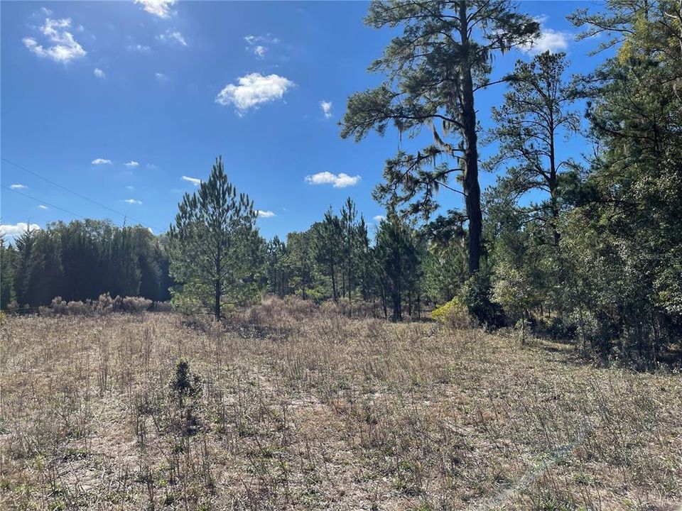 For Sale: $1,500,000 (28.49 acres)