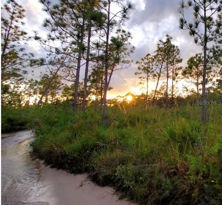 For Sale: $39,000 (1.27 acres)