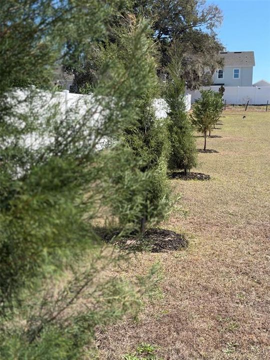 En Venta: $949,000 (3 camas, 3 baños, 3407 Pies cuadrados)