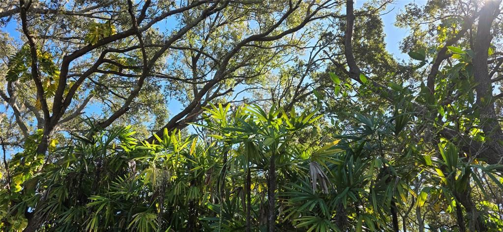 En Venta: $3,400,000 (3 camas, 2 baños, 1828 Pies cuadrados)