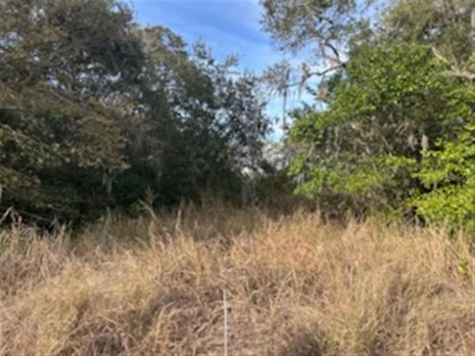 En Venta: $44,500 (0.21 acres)