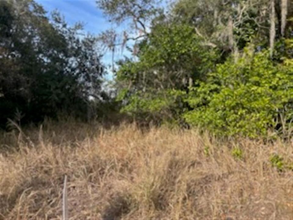 En Venta: $44,500 (0.21 acres)