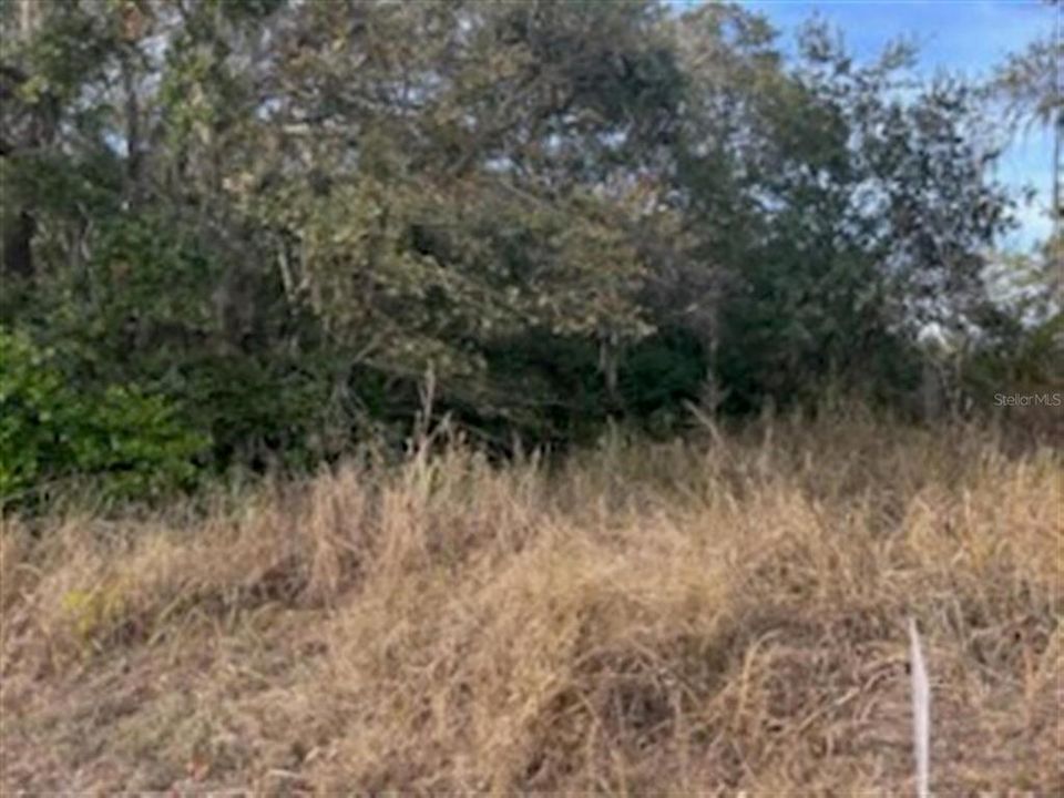 En Venta: $44,500 (0.21 acres)