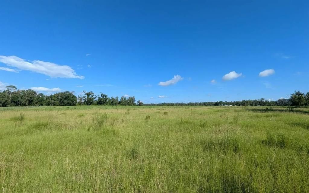 最近售出: $104,000 (10.31 acres)