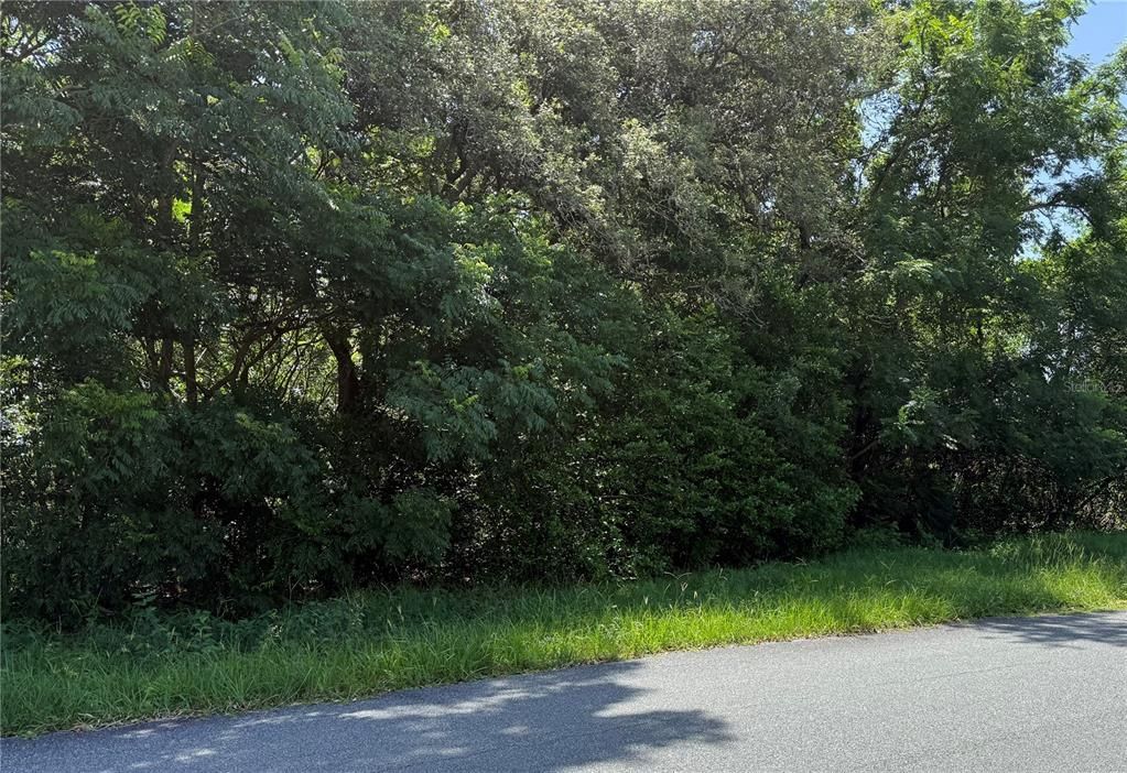 En Venta: $95,000 (1.62 acres)