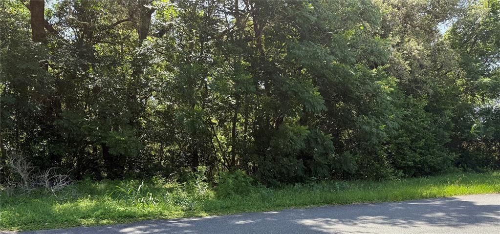 En Venta: $95,000 (1.62 acres)