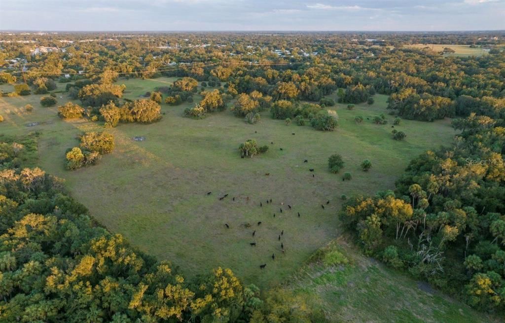 For Sale: $3,100,000 (310.00 acres)
