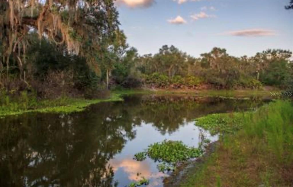 For Sale: $3,100,000 (310.00 acres)