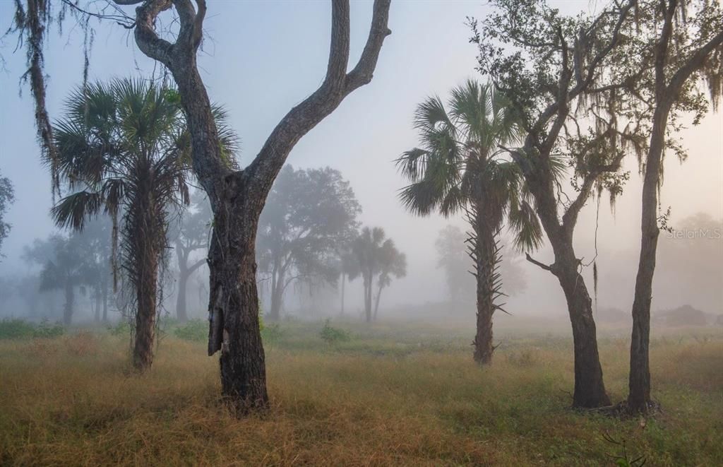 For Sale: $3,100,000 (310.00 acres)