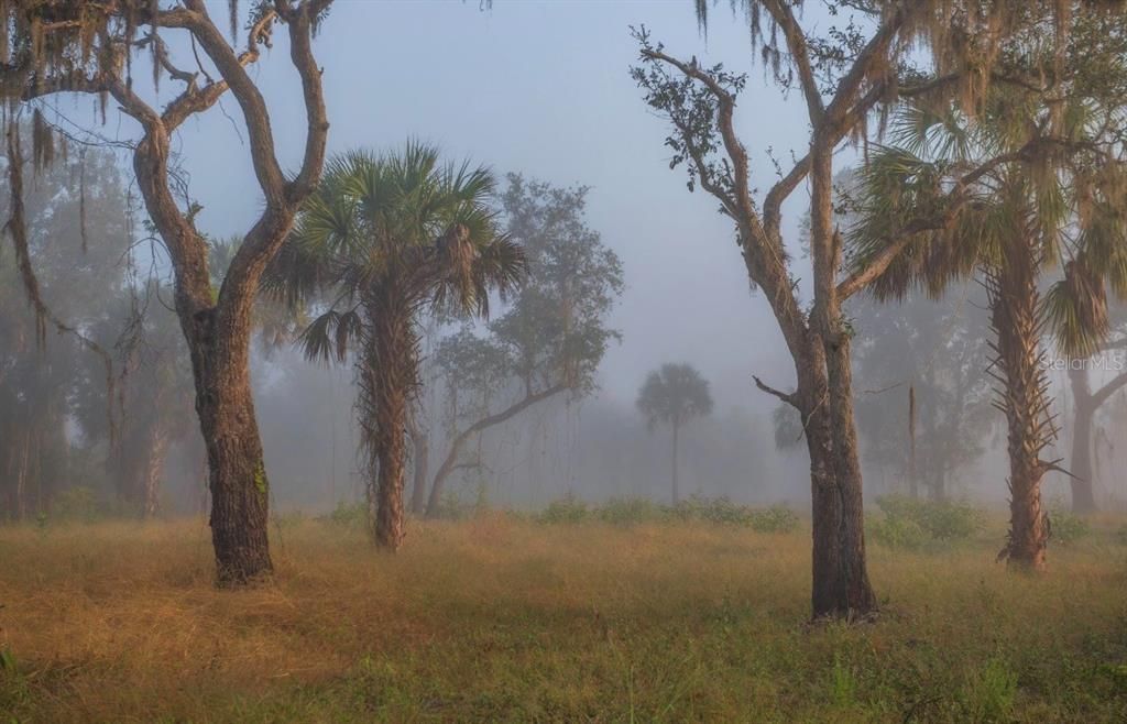 For Sale: $3,100,000 (310.00 acres)