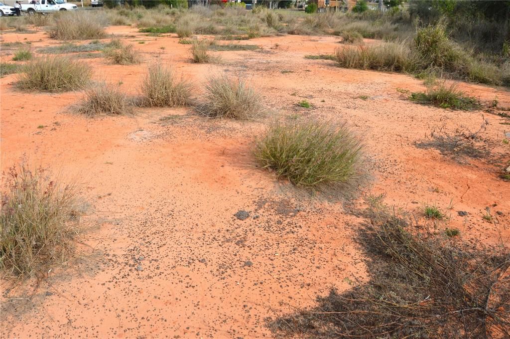 En Venta: $65,000 (0.66 acres)