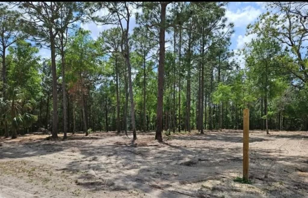 На продажу: $49,999 (0.69 acres)