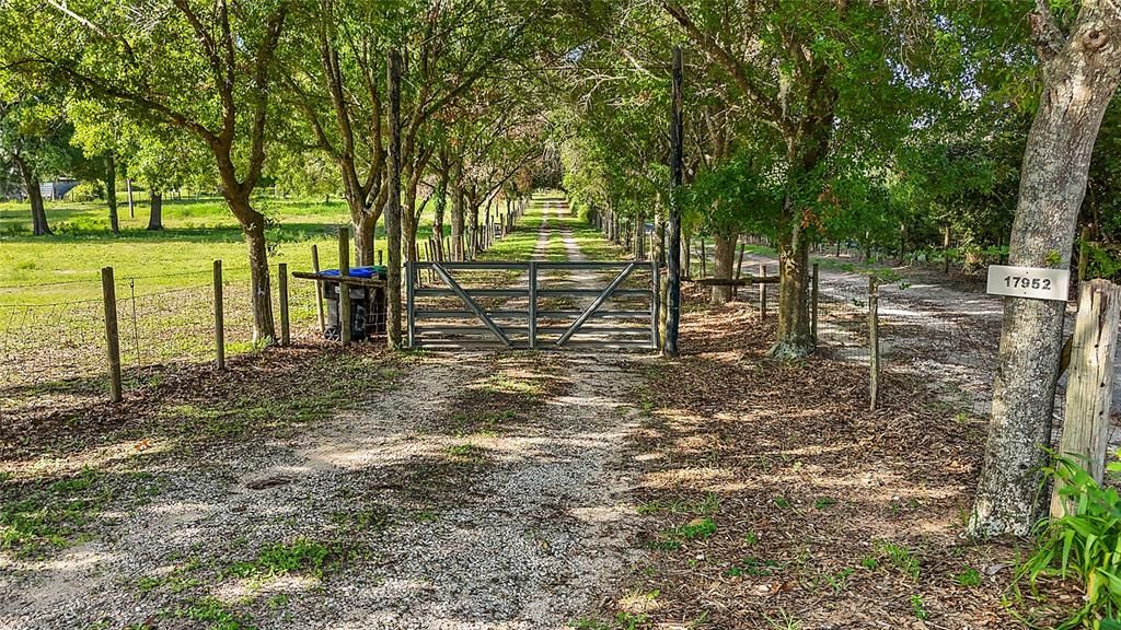 Activo con contrato: $899,999 (4.46 acres)