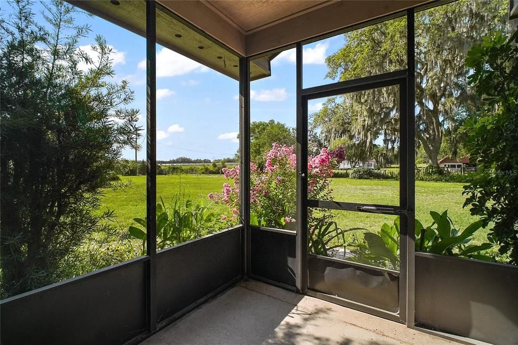 Activo con contrato: $899,999 (4.46 acres)