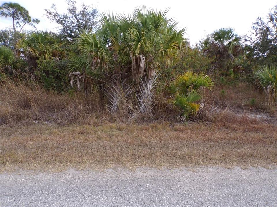 For Sale: $12,990 (0.23 acres)