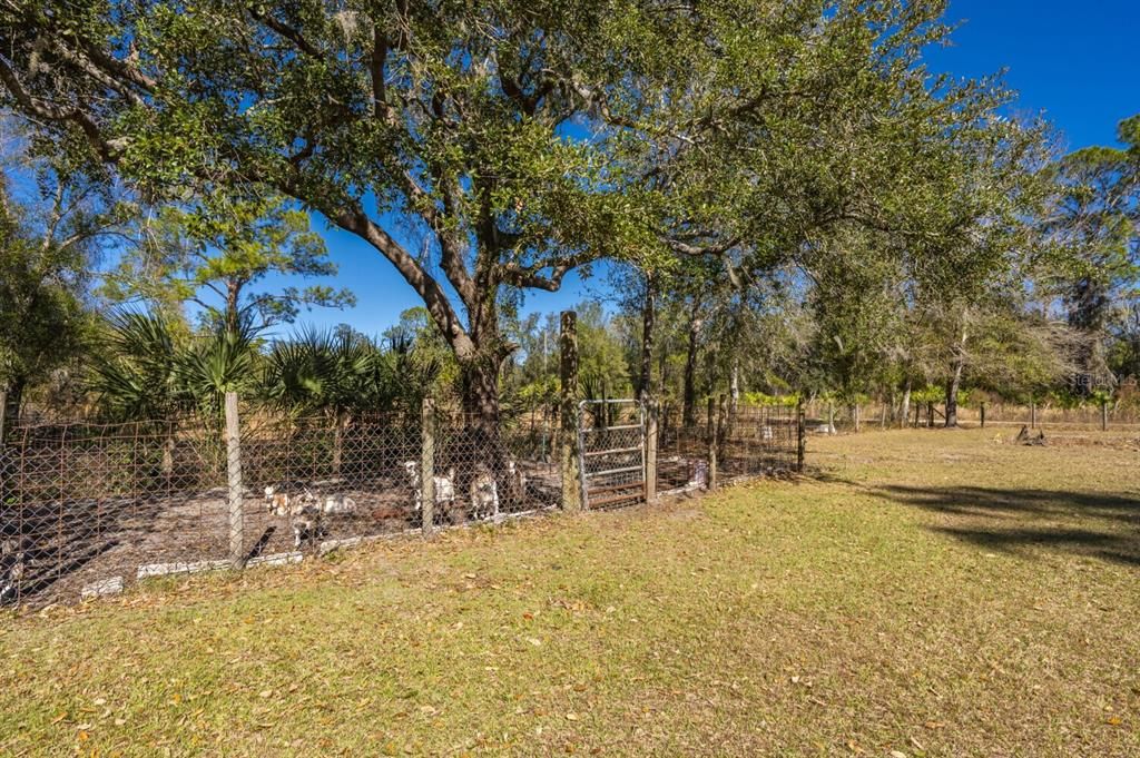 For Sale: $379,000 (2 beds, 1 baths, 912 Square Feet)