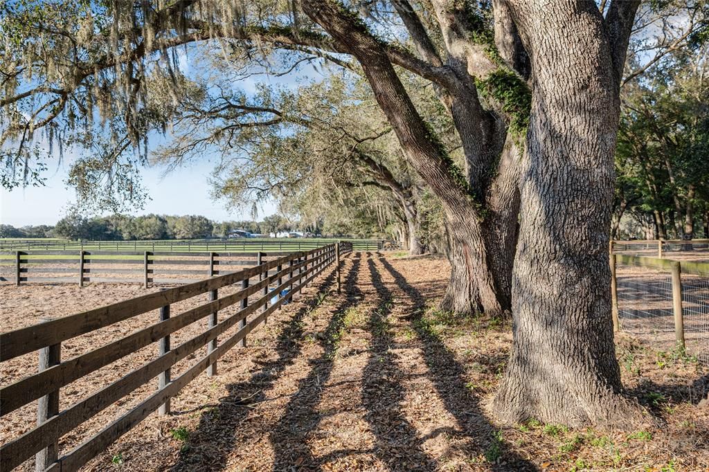 En Venta: $945,000 (1 camas, 1 baños, 0 Pies cuadrados)