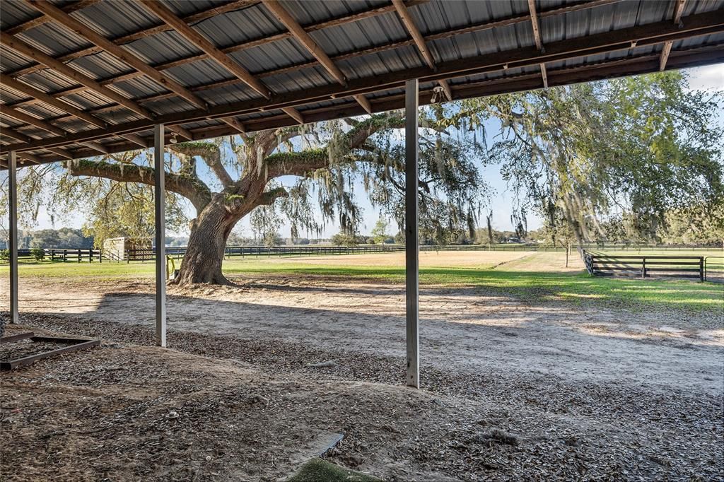 En Venta: $945,000 (1 camas, 1 baños, 0 Pies cuadrados)