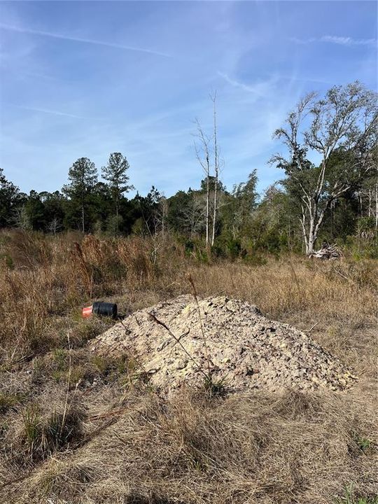 En Venta: $235,000 (16.00 acres)