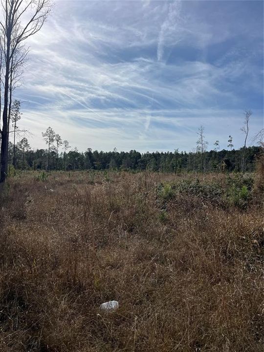 En Venta: $235,000 (16.00 acres)