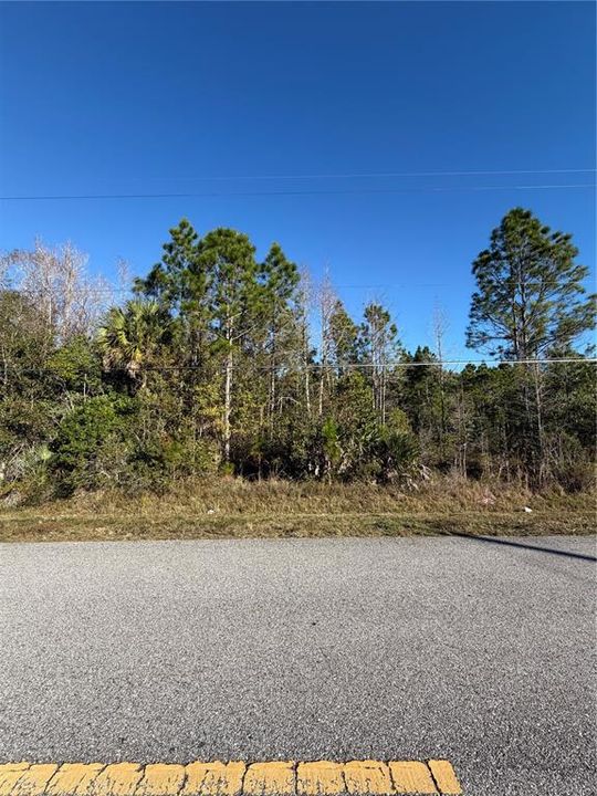 For Sale: $94,000 (1.44 acres)