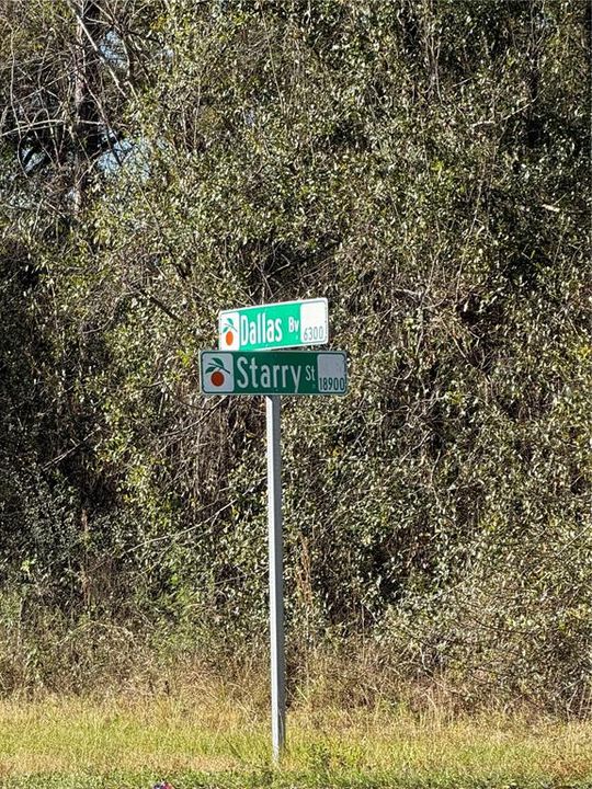 For Sale: $94,000 (1.44 acres)