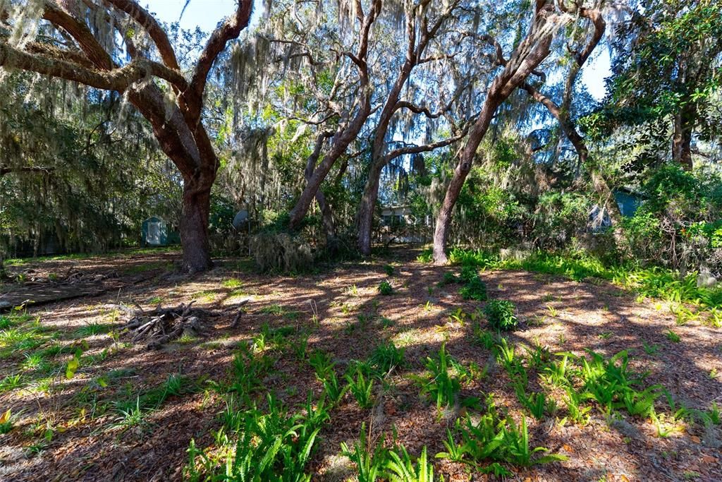 待售: $130,000 (2 贝兹, 2 浴室, 1056 平方英尺)