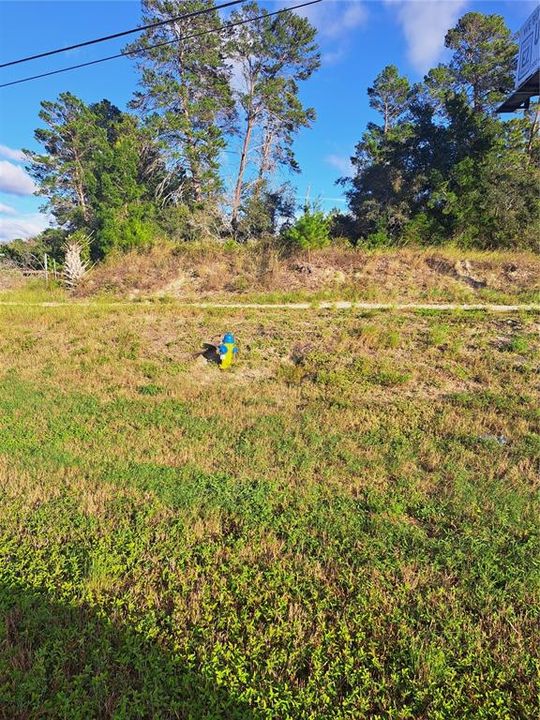 待售: $3,335,000 (9.03 acres)