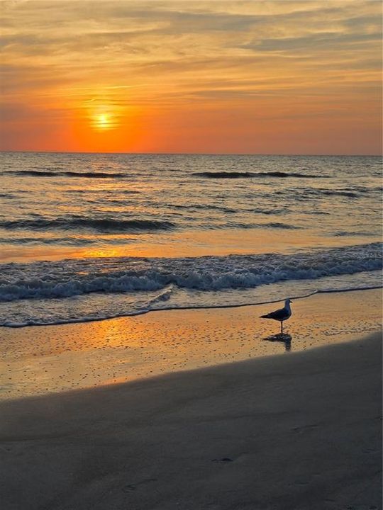 На продажу: $615,000 (2 спален, 0 ванн, 1372 Квадратных фут)