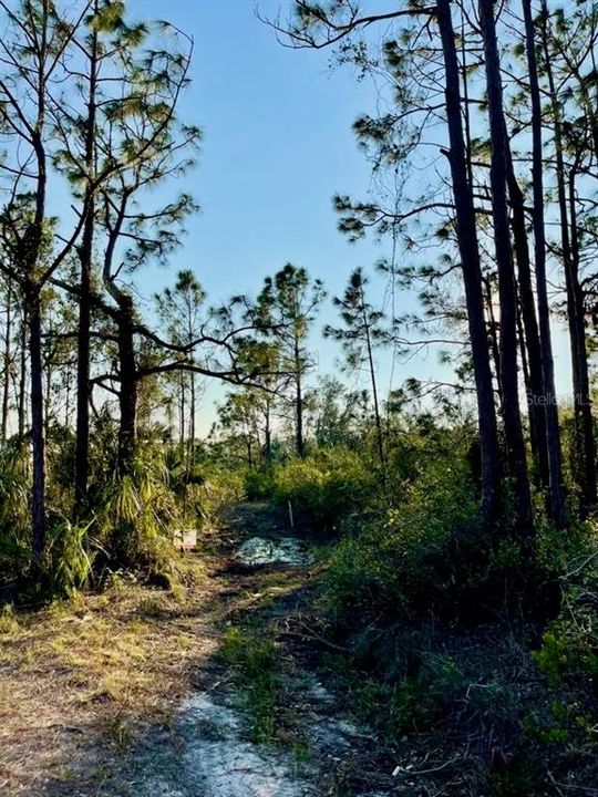 For Sale: $7,000 (0.23 acres)