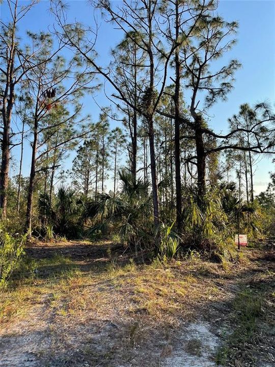 For Sale: $7,000 (0.23 acres)