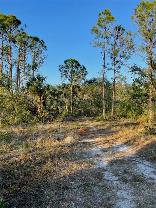 For Sale: $7,000 (0.23 acres)
