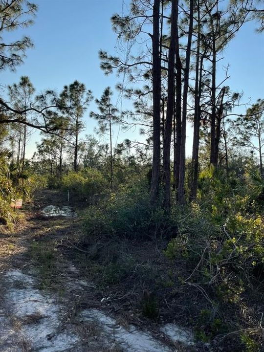 For Sale: $7,000 (0.23 acres)