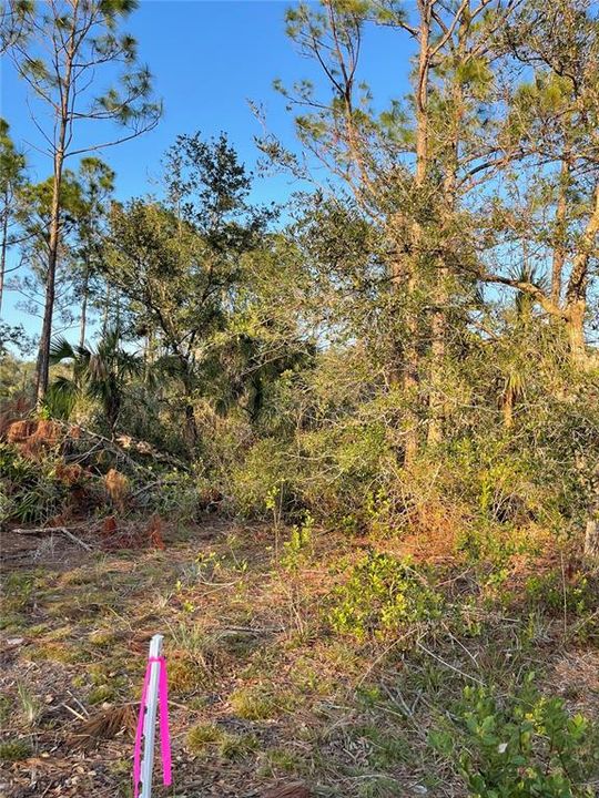 For Sale: $7,000 (0.23 acres)