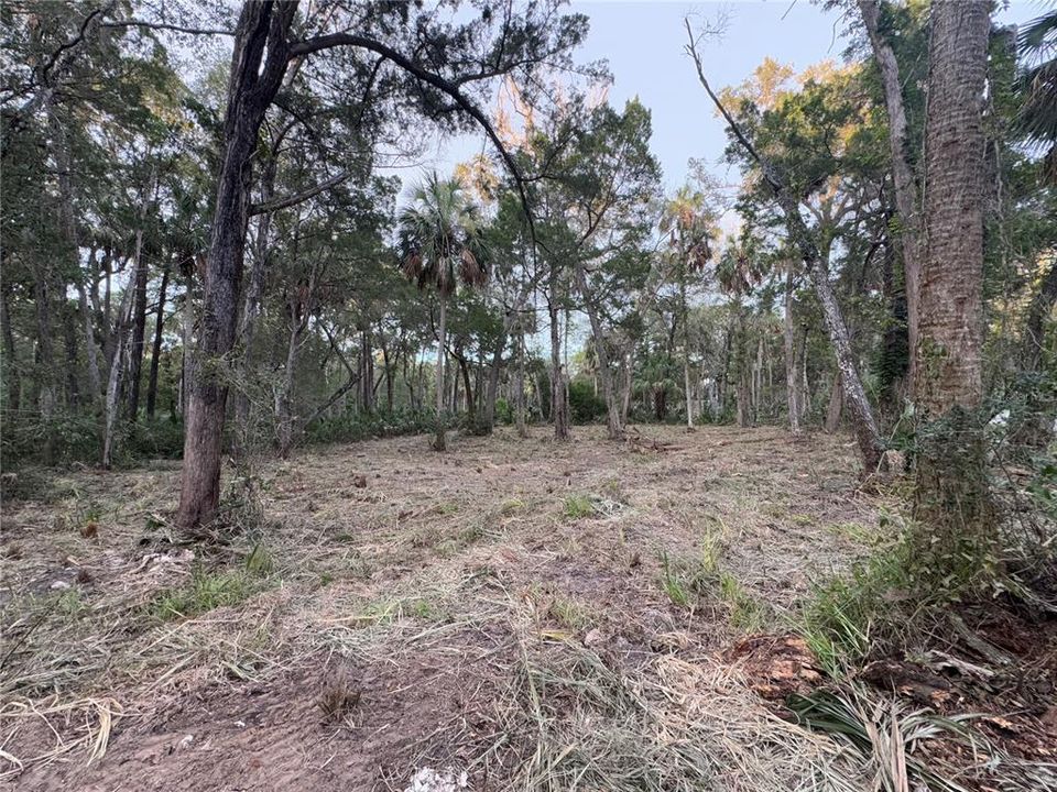 En Venta: $129,900 (1.39 acres)