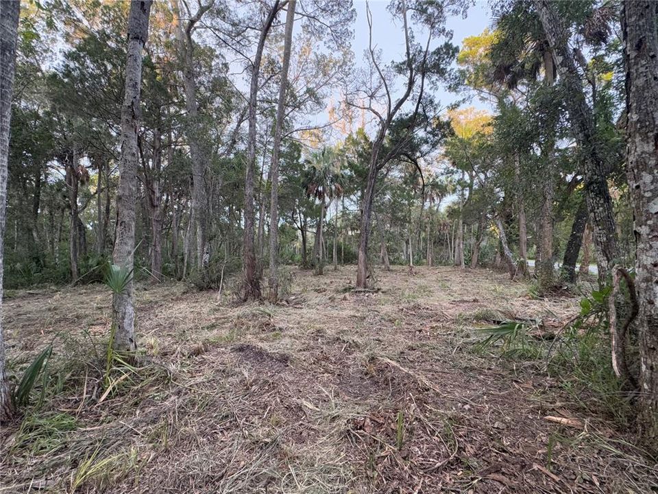 En Venta: $129,900 (1.39 acres)