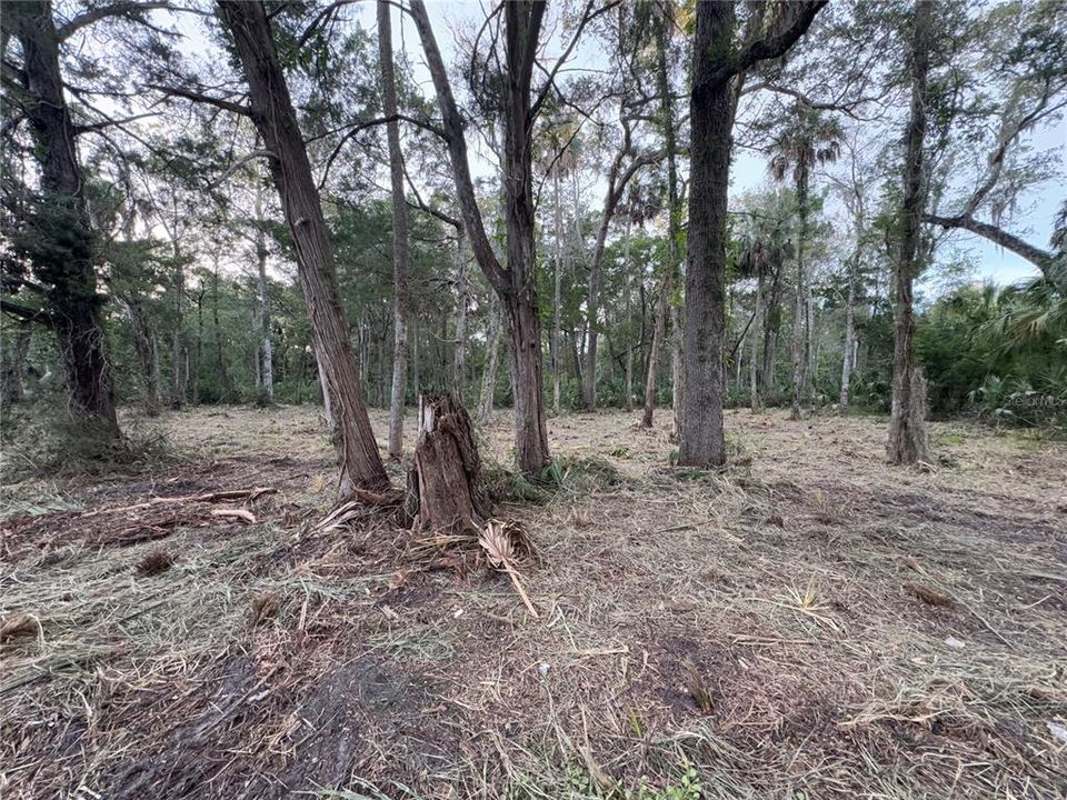 En Venta: $129,900 (1.39 acres)