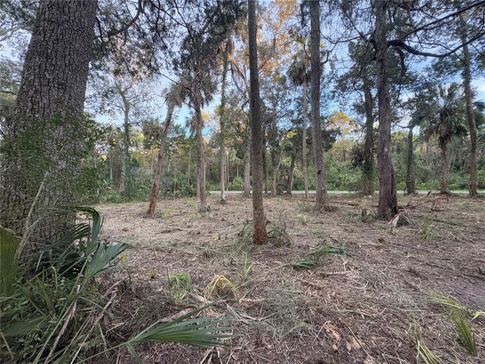 En Venta: $129,900 (1.39 acres)