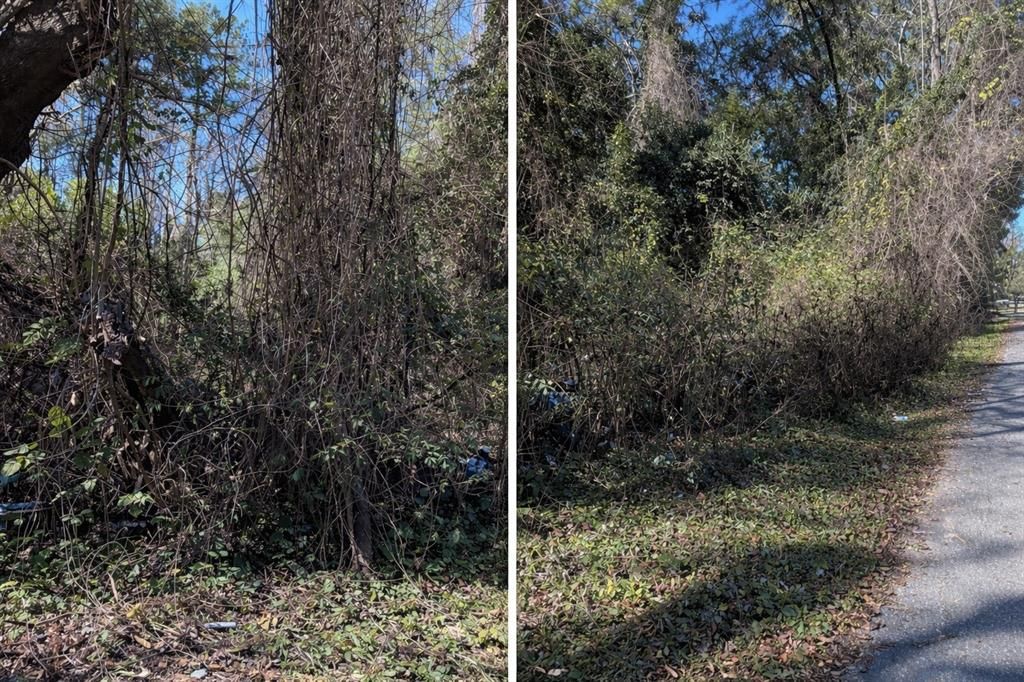 Activo con contrato: $155,000 (0.52 acres)