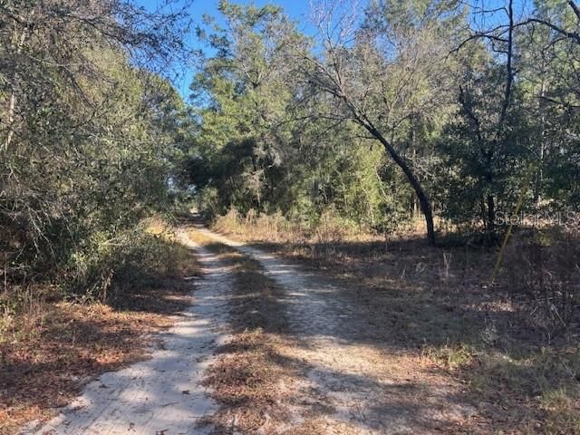 En Venta: $31,000 (0.34 acres)