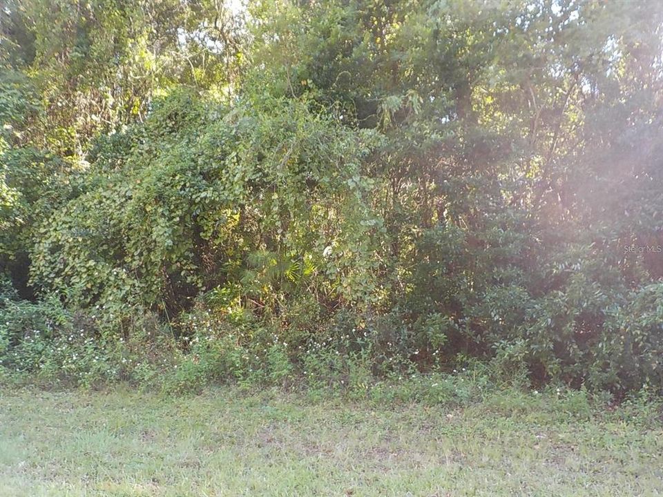 待售: $23,000 (0.25 acres)