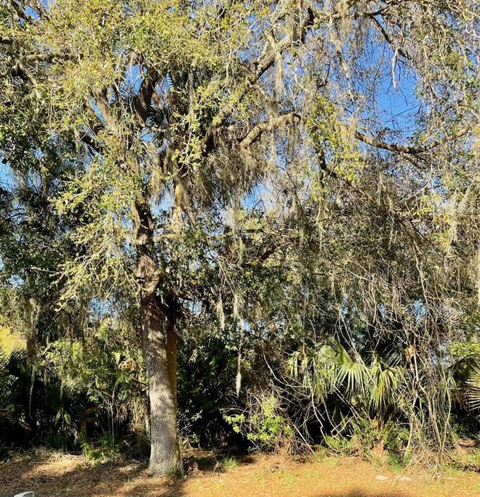 Vendido Recientemente: $69,000 (0.46 acres)