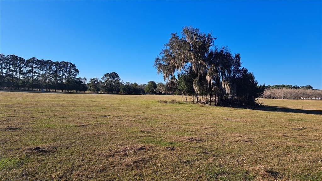 En Venta: $175,000 (5.00 acres)