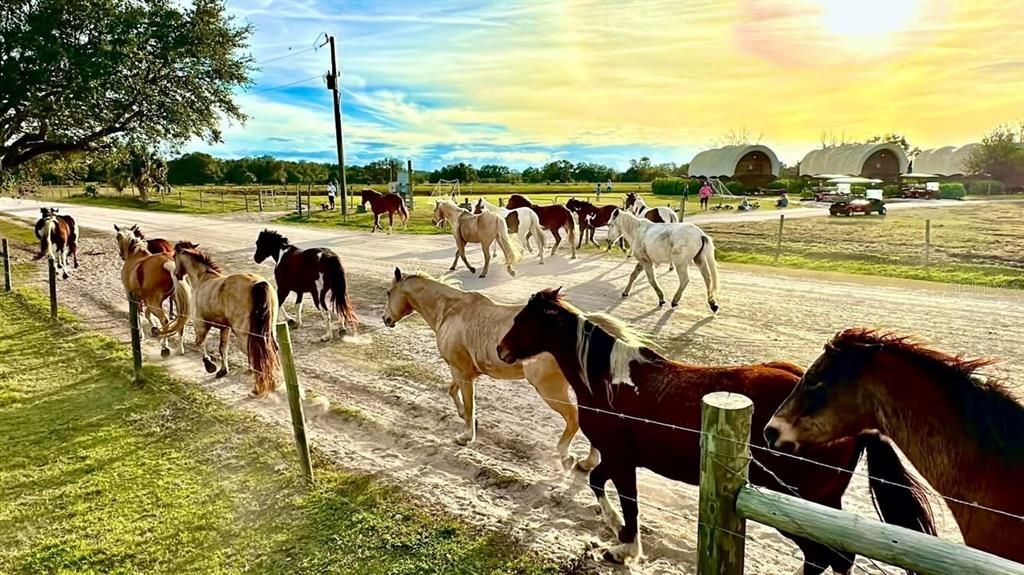 En Venta: $249,000 (0.09 acres)