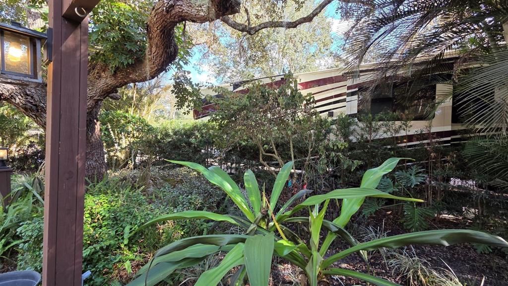 En Venta: $249,000 (0.09 acres)