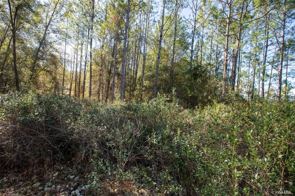 待售: $25,000 (0.68 acres)