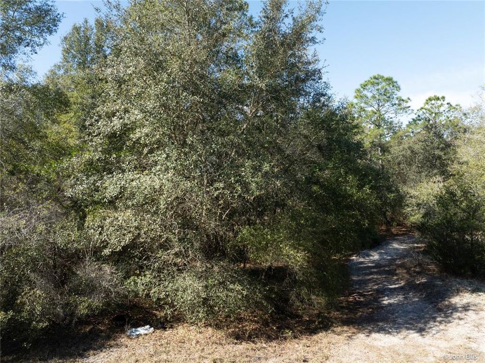 待售: $25,000 (0.68 acres)