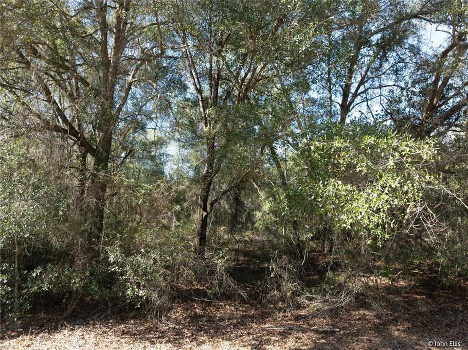 待售: $25,000 (0.68 acres)